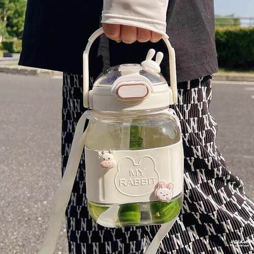 大肚杯孕妇女款夏天方形手提双饮口顿顿水壶带茶漏网红喝水杯子