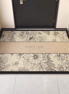 德国入户门丝圈地垫门口加厚防滑脚垫进门玄关地毯可裁剪定制门垫