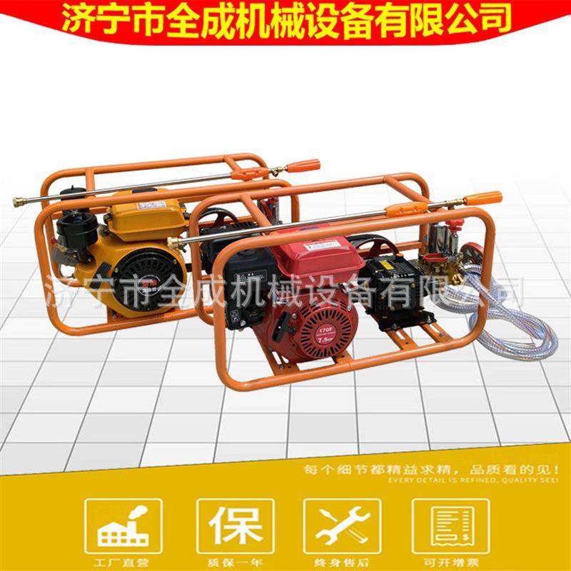 农用市政用汽油打药机 担架式高压喷雾机 机动汽油喷雾机厂家,农机/农具/农膜,打药机/弥雾机,淘宝优惠券,粉丝福利购,淘宝优惠卷