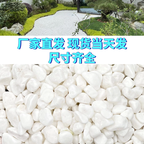 石子小白石头铺地造景铺路庭院白色石子白石子大鹅卵石50斤装景观