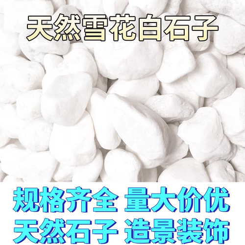 白色石子铺地景观50斤装铺路小白石头白石子造景大鹅卵石庭院石子