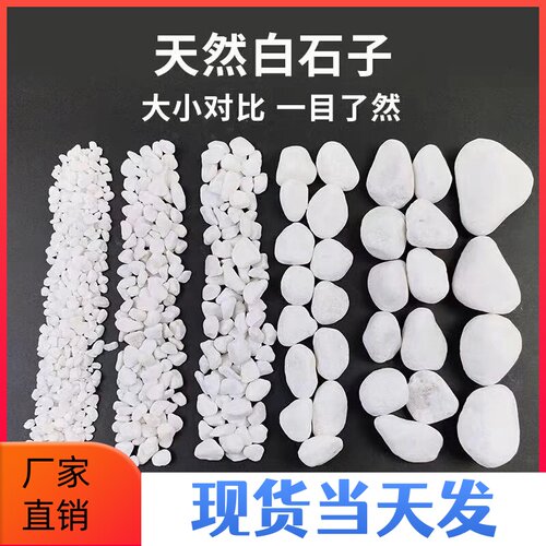装饰鹅卵石铺地铺路石头原石白石子大小石子白色花园庭院造景石子