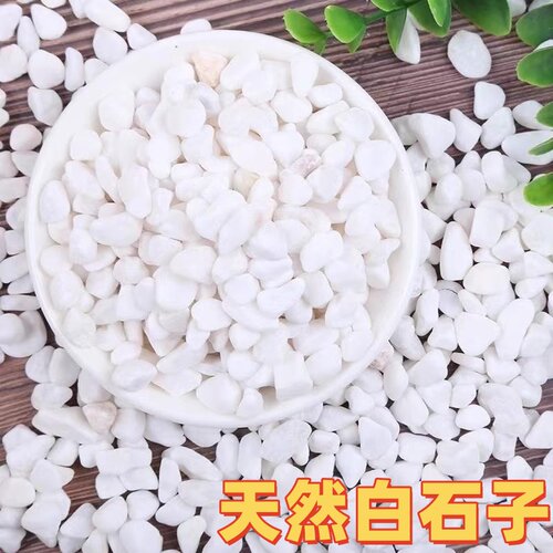 石子小白石头白石子大鹅卵石庭院50斤装白色石子铺地造景景观铺路