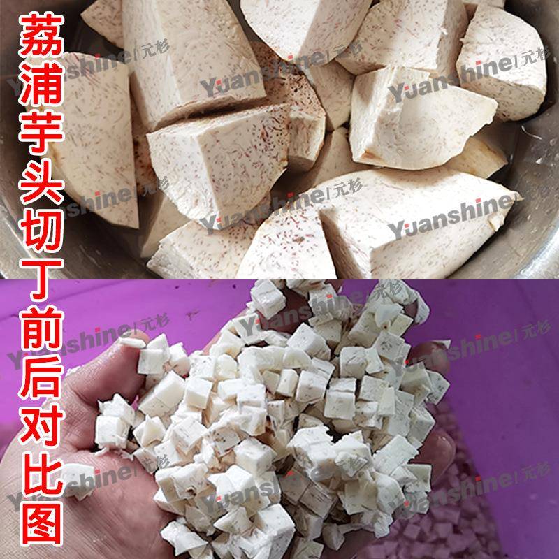 厂家货源水果蔬菜小型切丁机土豆芋头切丁机苹果芒果切粒机现货