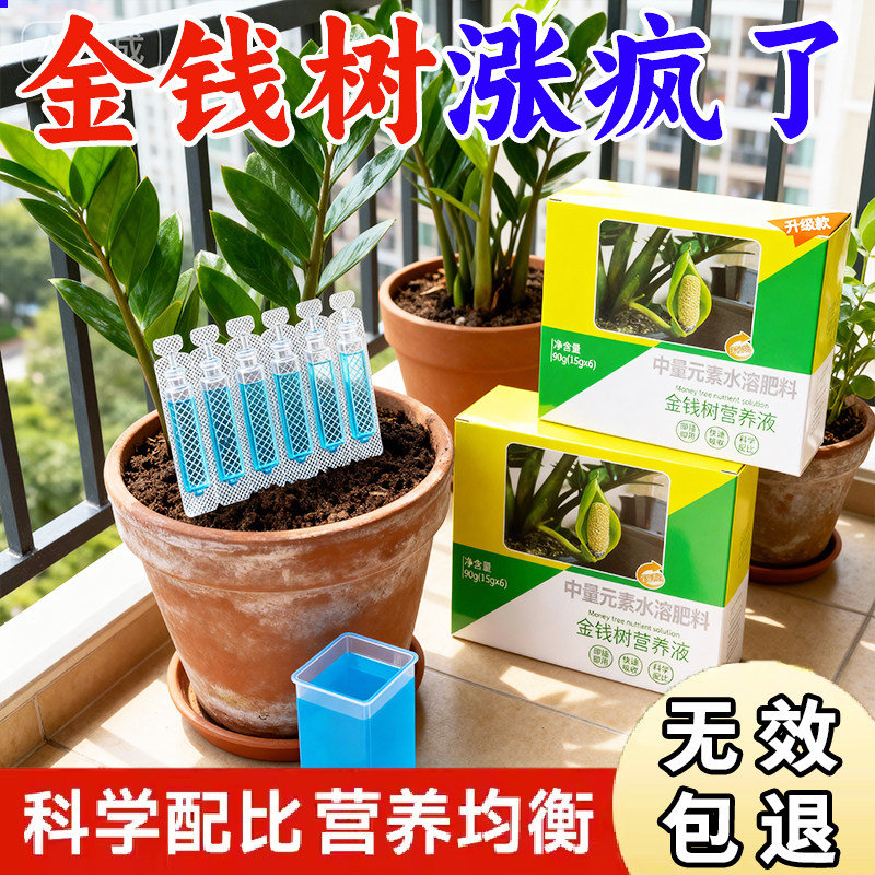 金钱树营养液专用肥料