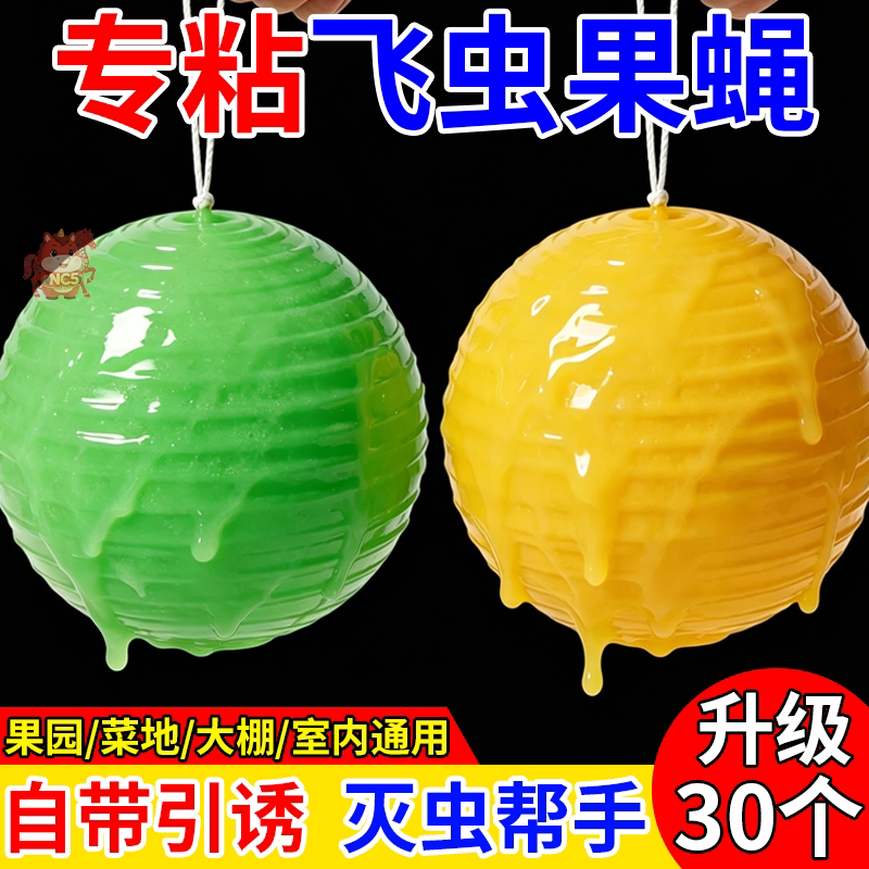 无毒粘虫球果蝇诱捕器