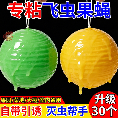 无毒粘虫球果蝇诱捕器