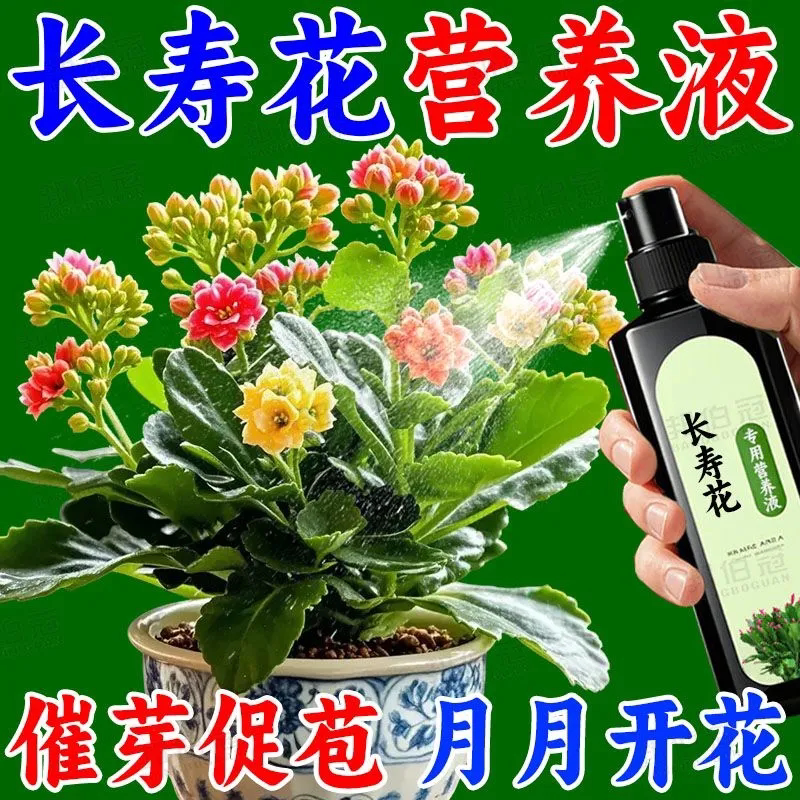 延花期免稀释花肥花卉专用肥料