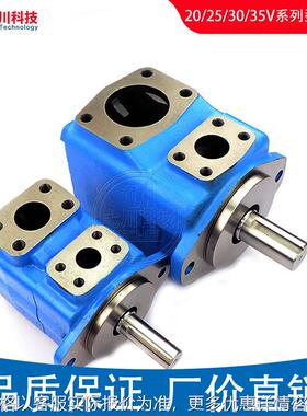 美国VICKERS威格士30V25A叶片泵20V/25V/35V/45V注塑机打包机油泵