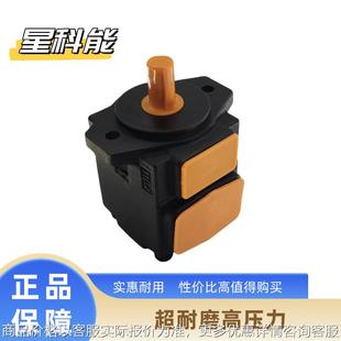 12叶片泵 超实惠高压泵定量液压泵性能稳定液压油泵21