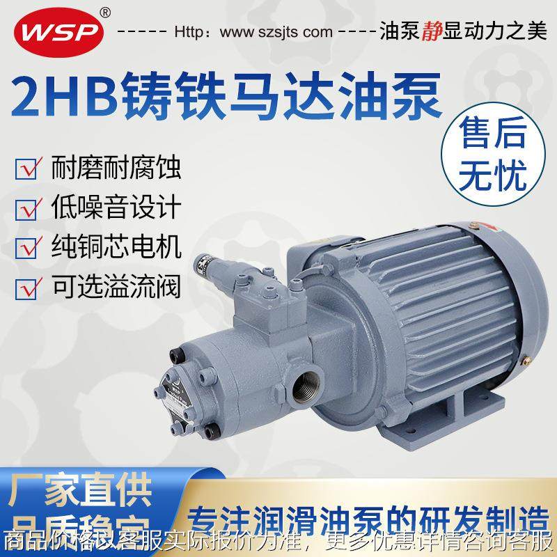 冷墩机润滑油泵 台湾同款摆线泵TOP-206 液压油齿轮泵 马达油泵,五金/工具,电动机,淘宝优惠券,粉丝福利购,淘宝优惠卷