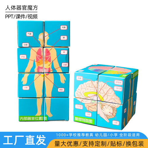 科技小制作手工DIY科学实验人体器官魔方盒子小学生益智steam教具