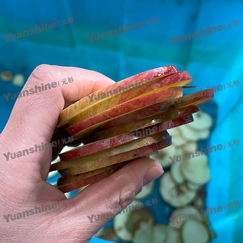 多功能青香蕉切片机青萝卜黄瓜切片机下压式苹果切圆片设备