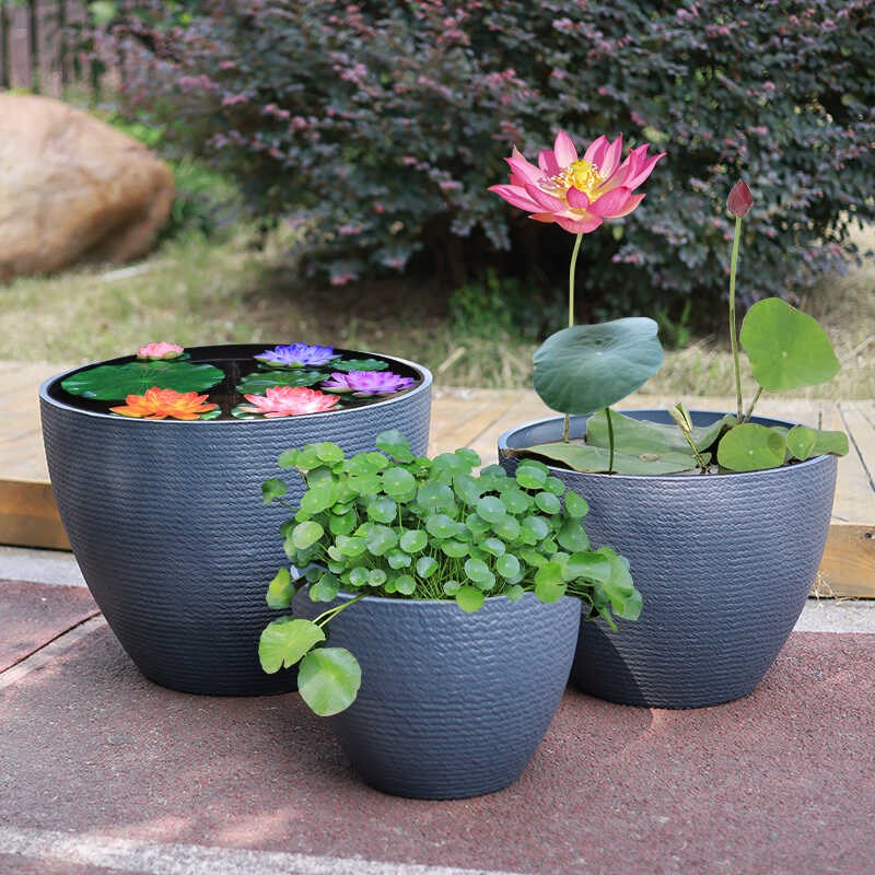 荷花盆缸塑料树脂花盆大号加厚大口径种树深高盆养鱼莲花睡莲专用