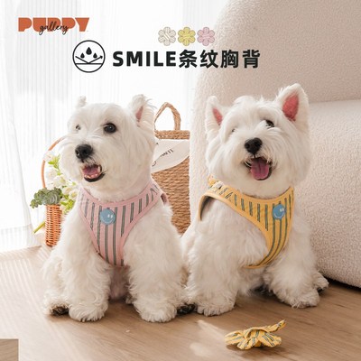 韩国puppygallery花朵条纹胸背狗狗牵引绳背心式宠物猫咪小型犬