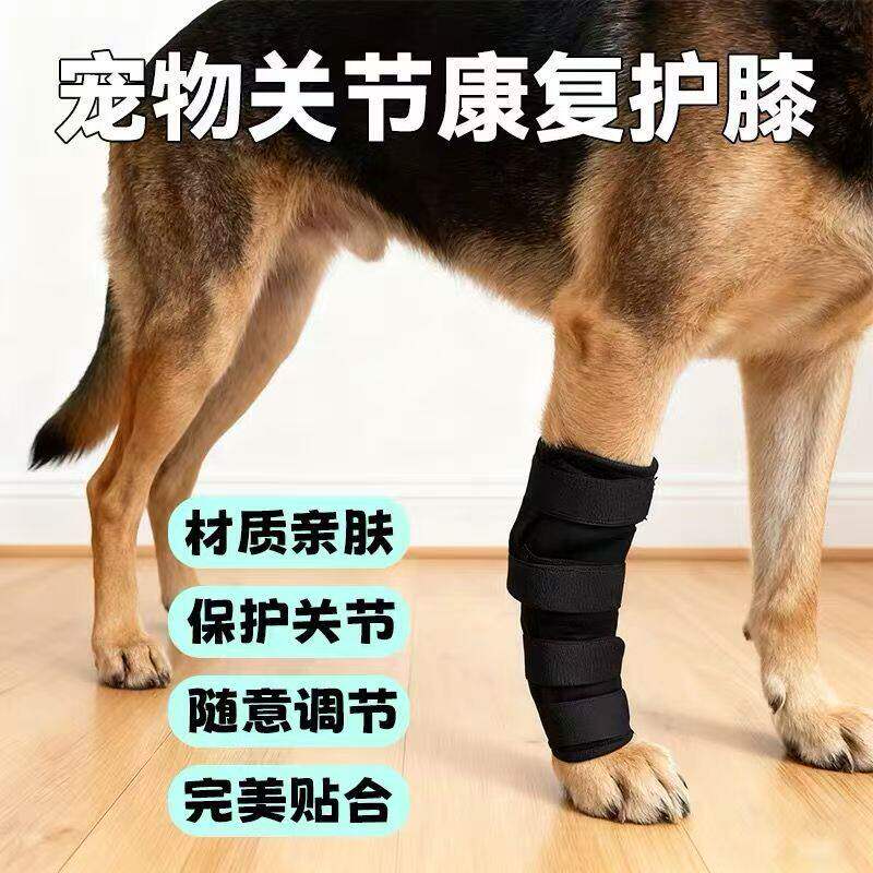 狗狗护膝关节保护套受伤髌骨脱位护具后腿护膝护肘小型犬骨折固定