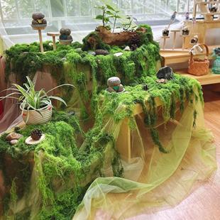 幼儿园春天环创展台材料自然角装饰植物造景场景布置绿色纱幔苔藓