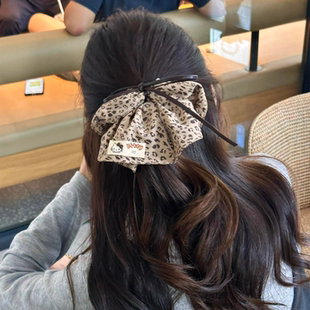 韩系复古可爱豹纹kt大肠发圈女高级感头绳发饰扎头发绳头饰丸子头