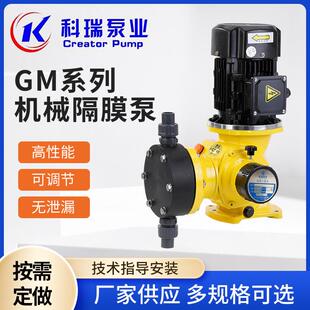 GM系列机械隔膜泵PAMPAC加药泵厂家直销计量泵小流量计量泵