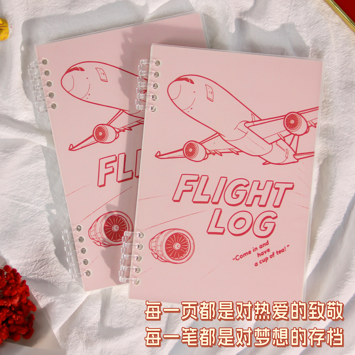 飞行日志FlightLog笔记本图片
