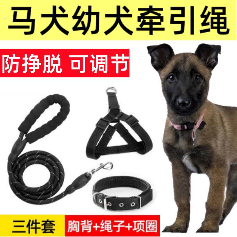 马犬幼犬专用牵引绳狗链小马犬大型犬背心式项圈外出遛狗可调节