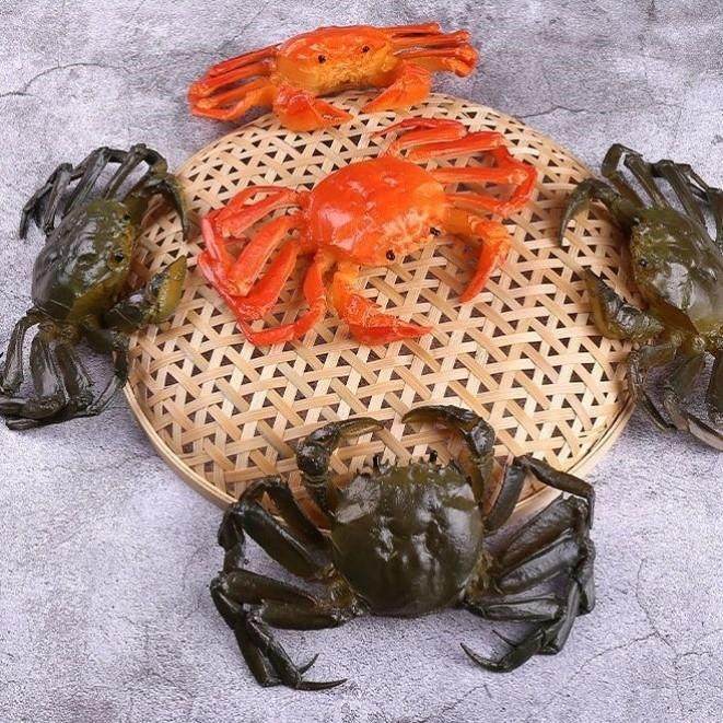 PVC塑胶仿真大闸蟹模型 影视拍摄螃蟹道具 儿童海鲜玩具店面 装饰,玩具/童车/益智/积木/模型,儿童食玩,淘宝优惠券,粉丝福利购,淘宝优惠卷