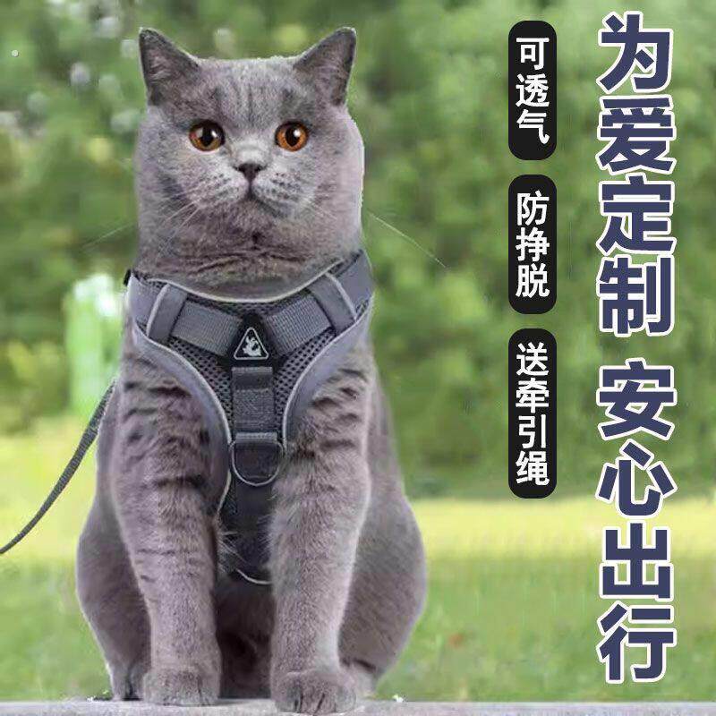 蓝猫牵引绳背心胸背可调节英短蓝白猫遛猫绳子防挣脱专用外出炼子