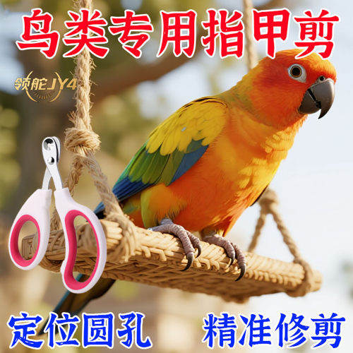 鸟类通用指甲剪指甲钳套装鸟秋千