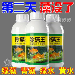 鱼缸除藻剂去苔剂净水剂清除褐藻黑毛藻绿藻剂专用鱼池青苔净神器