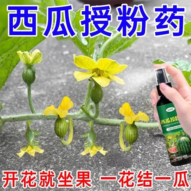 西瓜授粉专用药点花坐果灵授粉点花剂保花保果增产防落增产营养肥