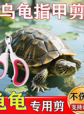 乌龟专用指甲剪套装不伤龟观赏龟