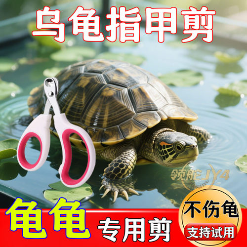 乌龟专用指甲剪套装不伤龟观赏龟
