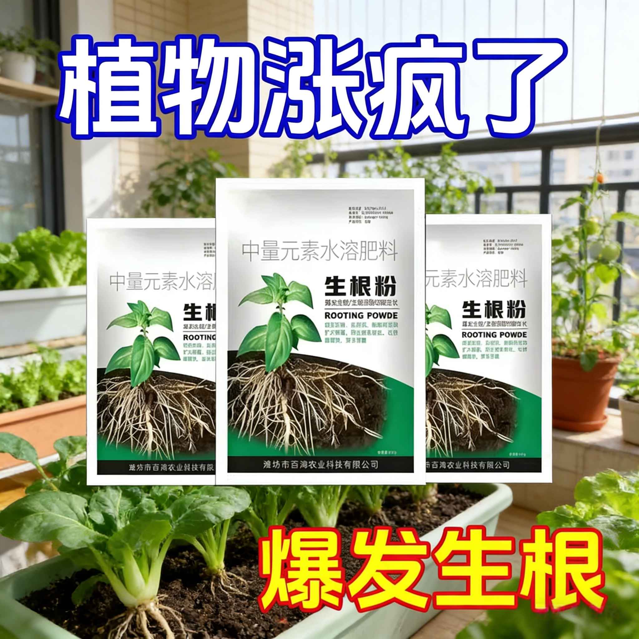 强力生根粉植物通用移栽扦插