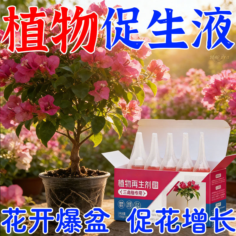 三角梅专用营养液营养土花土开花专用液体肥料助生长叶增绿促开花,鲜花速递/花卉仿真/绿植园艺,介质/营养土,淘宝优惠券,粉丝福利购,淘宝优惠卷