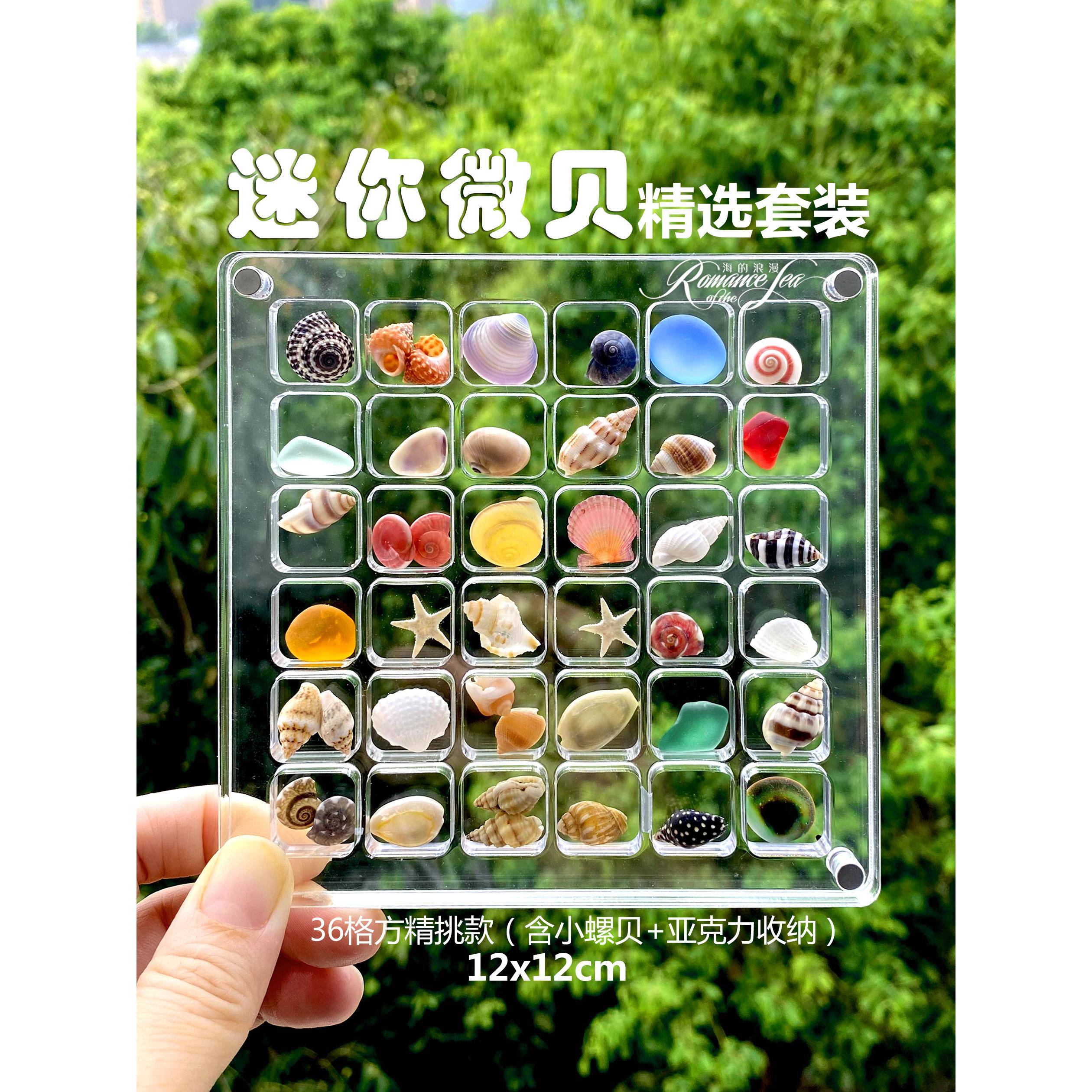 迷你可爱微贝海螺标本亚克力收纳套餐大海的礼物