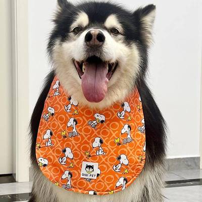 升级款宠物狗狗口水巾大型长毛犬保护胸毛萨摩围巾阿拉斯加口水巾