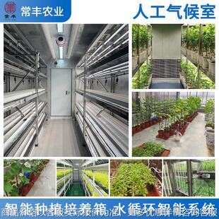 供应植物培养室植物育苗加热恒温室爬行动物热垫室内培养发酵箱