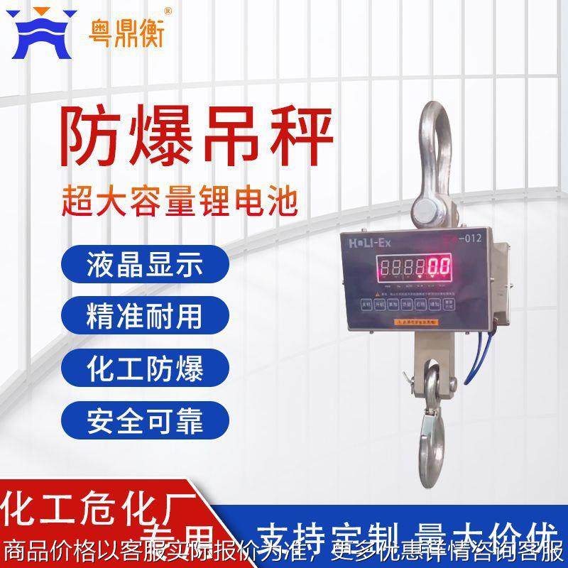 吊钩秤OCS30t吨不锈钢隔爆 直视化工业用吊秤 适用码头电子吊秤