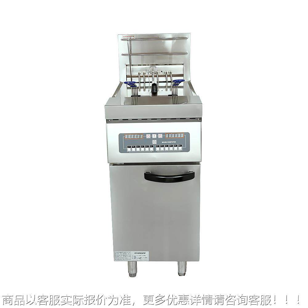 DF-2立式脑版双缸双筛电炸炉薯条炸3890锅鸡腿炸机电炸锅14L油/缸