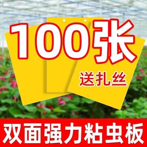 蓟马大棚果园飞虫针蜂双面