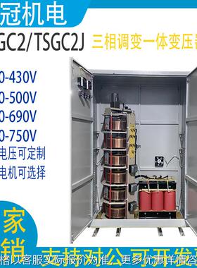 三相接触式调压器TSGC-100KVA三相输入380V输出0-800V900V1140V