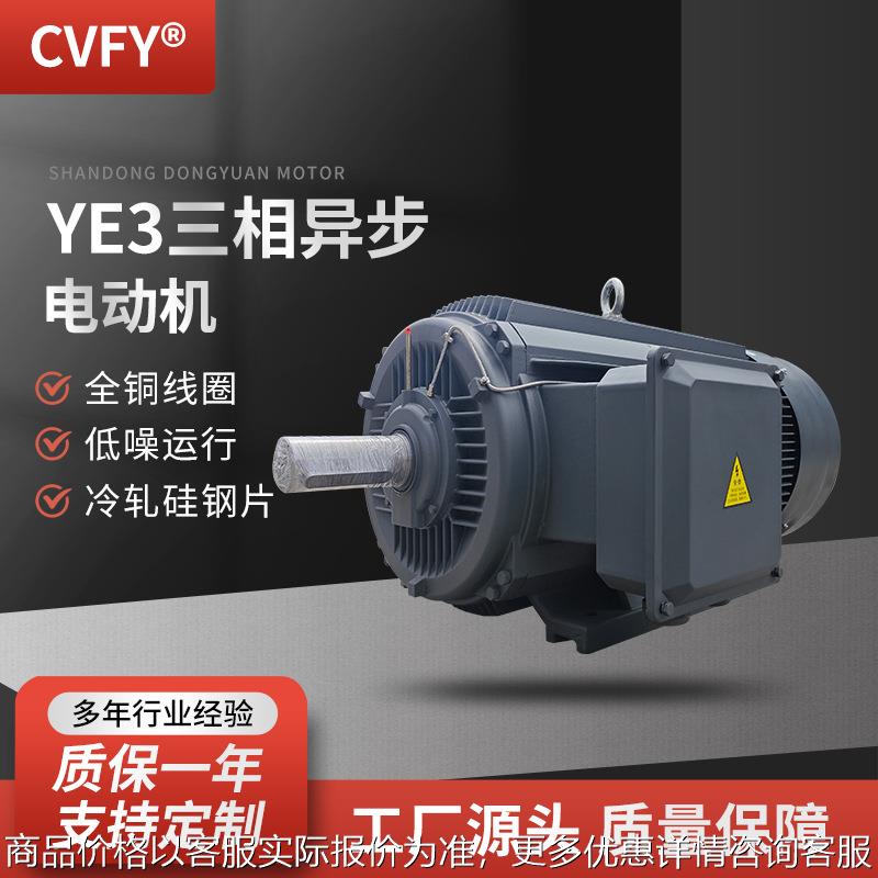 三相异步电动机 YE3-315S/M/L1/L2-8极电机 55/75/90/110W马达