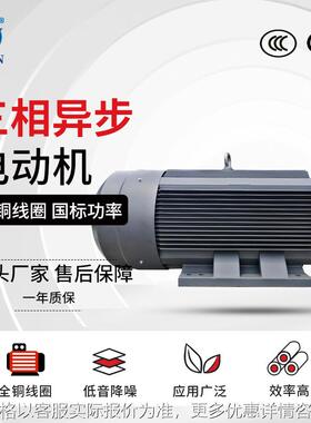YE3-315S/M/L1/L2-6极电机 75W/90W/110W/132W大功率电动机