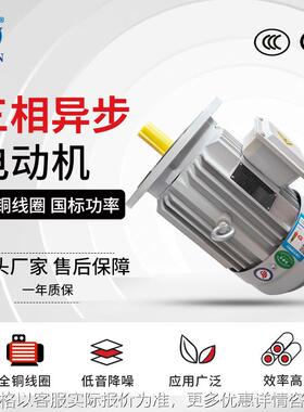 2极转速三相电动机 YE3-160M1/M2/L-2铁壳电机 11-18.5W全铜马达