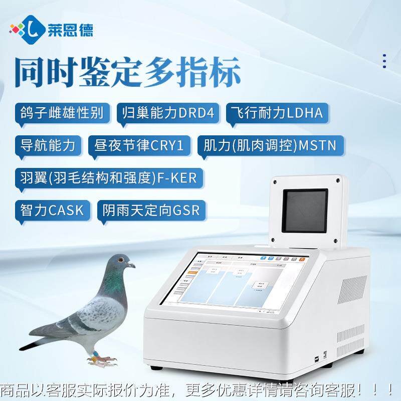 赛鸽鉴行飞能力定仪高精度鸽子DNA归巢41检测红外雄性别鉴雌别仪