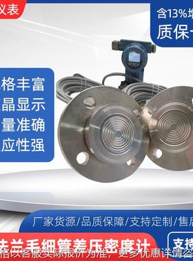 差压密度计高精度在线工业双法兰毛细管24VDC 4~20mA数显远传