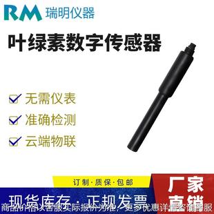 污水泳池叶绿素传感器RS485输出 荧光法叶绿素传感器