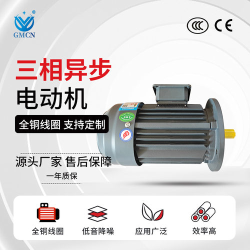 三相异步电机 YE3-200L-4极铁壳电动机 30KW全铜高效率化工马达
