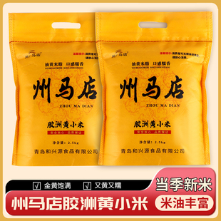 2025新米当季州马店月子米州马店胶洲黄小米粥煮粥熬杂粮自种五谷