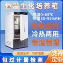 生化培养箱恒温恒湿箱细菌霉菌培养箱微生物实验室试验箱发芽发酵
